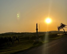 Sonnenuntergangsstimmung - Weingut Hummel, © Laura Hummel