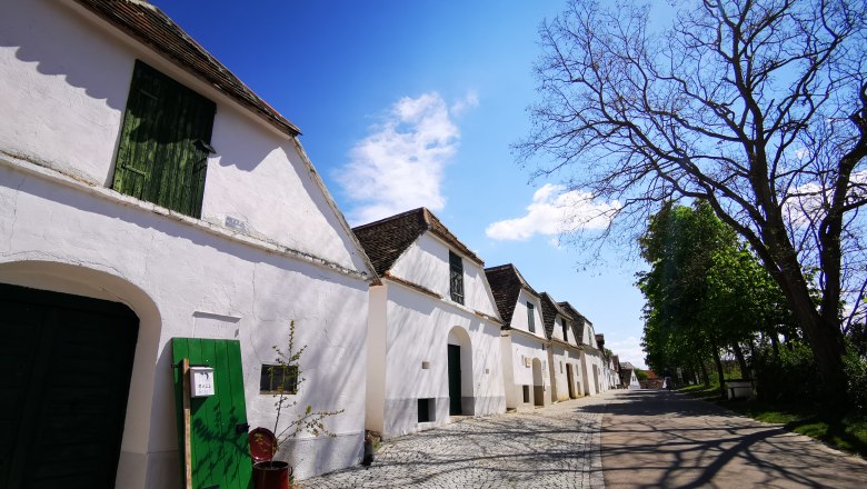 Kellergasse in Mailberg mit weißen Gebäuden und blauem Himmel.