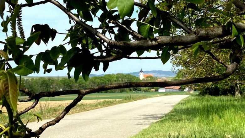 Herrlicher Ausblick ins Schmidatal, © Weinstraße Weinviertel