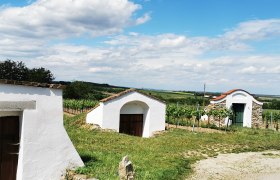 Weinkeller in Zellerndorf, umgeben von Weinbergen und blauem Himmel.
