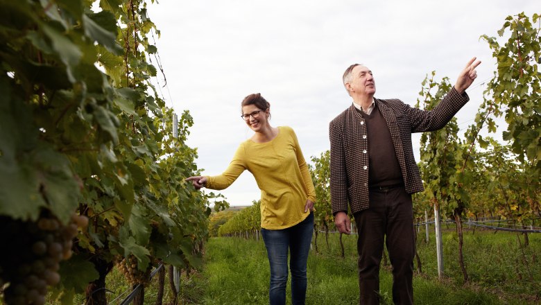 Zwei Personen stehen in einem Weingarten und betrachten die Reben.