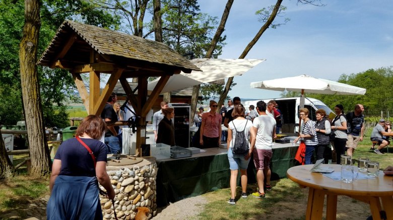 Wetzdorfer Weinwandertag, &copy; F. Schober