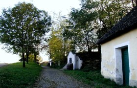 Ein ländlicher Weg mit Bäumen und einem alten Gebäude mit grünem Tor.