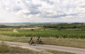 Sanfte H&uuml;gel und endlose Weinreben umgeben die Radfahrer, die die frische Luft und die malerische Landschaft genie&szlig;en. Die Wolken am Himmel spiegeln die entspannte Atmosph&auml;re des Weinviertels wider, w&auml;hrend die Sonne sanft auf die gr&uuml;nen Felder scheint.