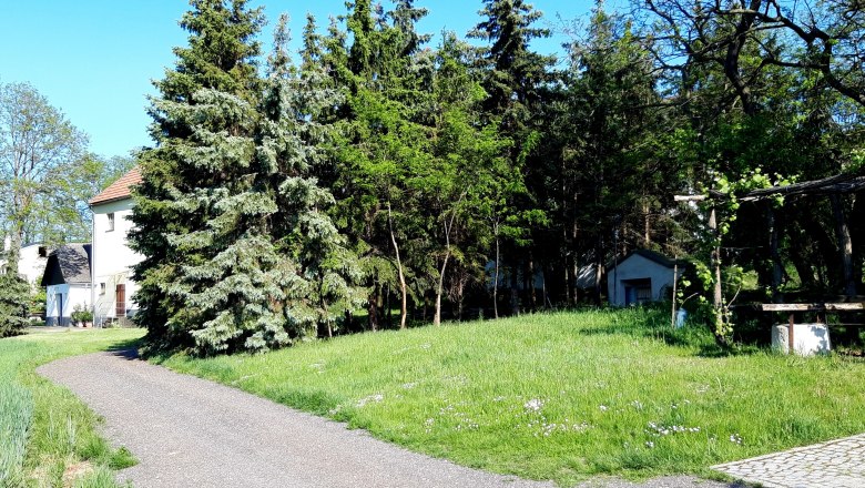 Ein Weg f&uuml;hrt an einem Haus und hohen B&auml;umen vorbei, umgeben von gr&uuml;ner Wiese und blauem Himmel.