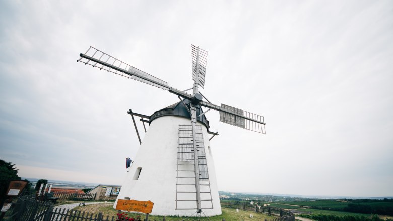Windmühle Retz, © Weinviertel Tourismus / Gollner