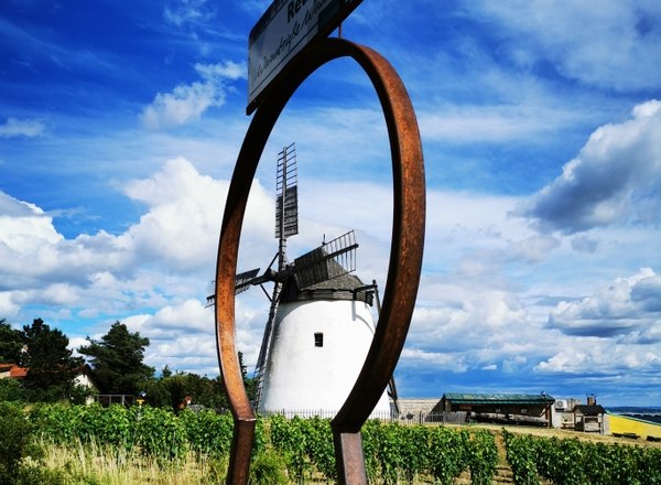 Schlüsselerlebnis mit Blick zur Windmühle, © Weinstraße Weinviertel