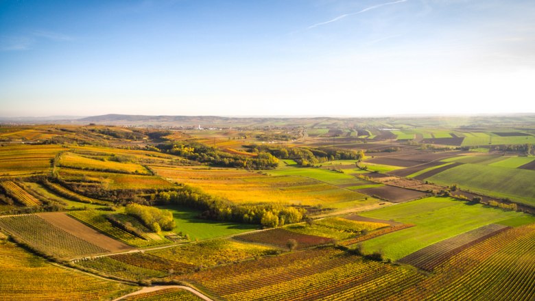 Landschaft mit Weinbergen und Feldern unter blauem Himmel.