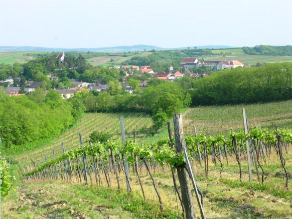 Weingut Fürnkranz - Mailberg, © Weingut Fürnkranz