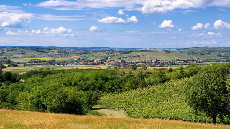 Weinberge und Landschaft unter blauem Himmel mit Wolken.