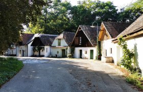 Eine malerische Kellergasse mit traditionellen Gebäuden und Bäumen im Hintergrund.