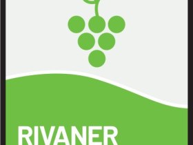 Icon Rivaner, &copy; Weinviertel Tourismus