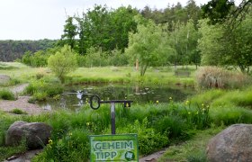 Ein grüner Teich mit Bäumen im Hintergrund und einem Schild mit der Aufschrift 'Geheim Tipp' im Vordergrund.