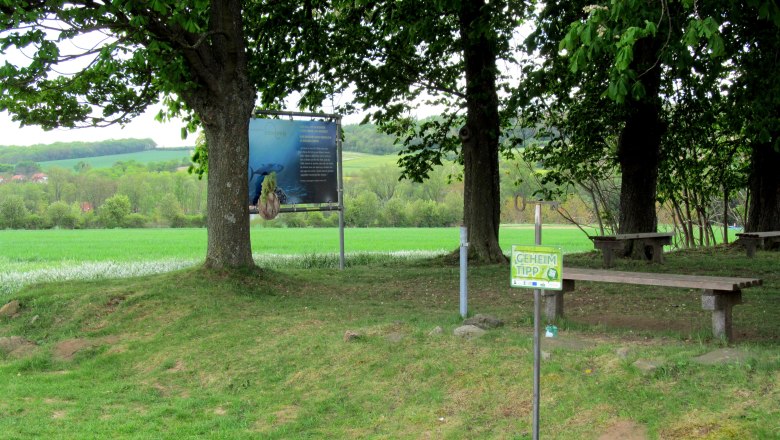 Ein schattiger Rastplatz mit Bänken unter Bäumen, umgeben von grünen Feldern. Ein Schild mit der Aufschrift 'Geheim Tipp' ist sichtbar.
