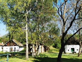 Kellergasse Loamgstettn, &copy; Weinstra&szlig;e Weinviertel West