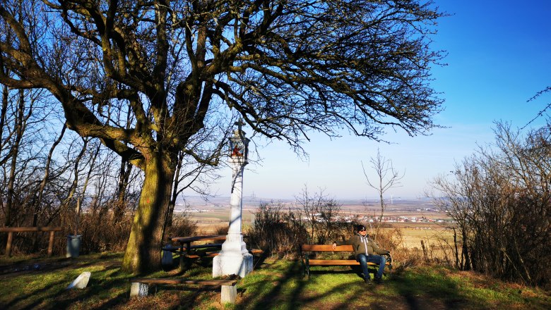 Ein Mann sitzt auf einer Bank unter einem gro&szlig;en Baum mit Blick auf eine weite Landschaft.