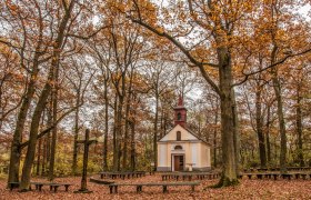 Eine kleine Kapelle im Wald, umgeben von herbstlichen Bäumen und Laub auf dem Boden.