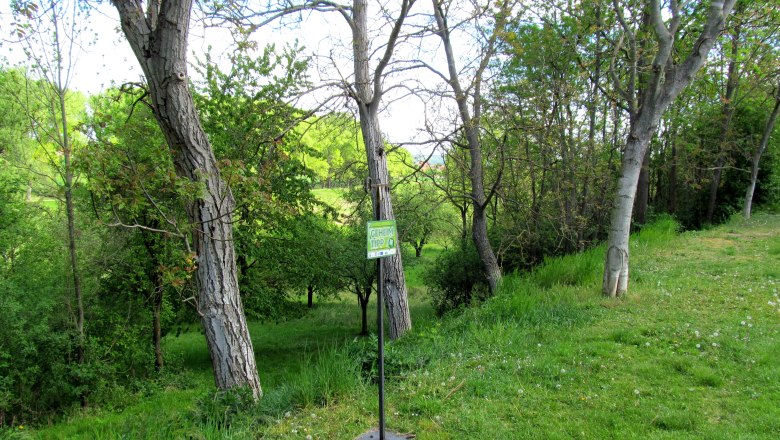 Grüne Landschaft mit Bäumen und einem Schild in Minichhofen.