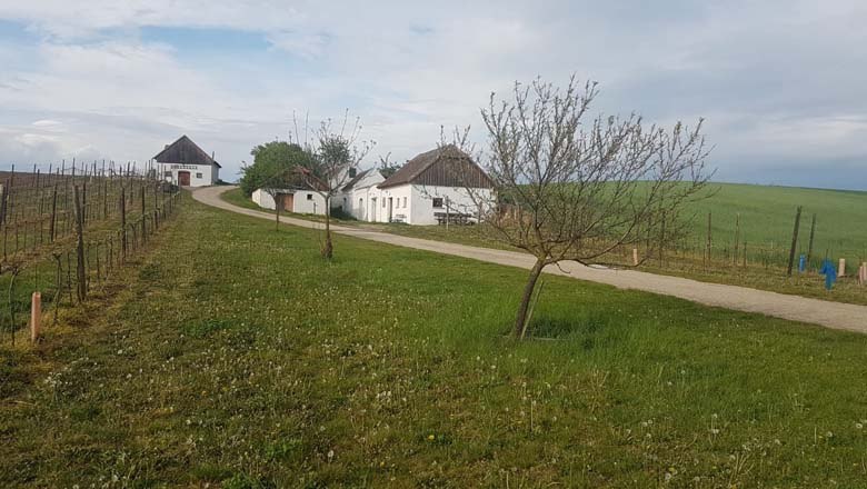 Radler- und Wanderrast Hart-Aschendorf, © Familie Pamperl