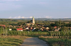 Blick auf das Dorf Unterretzbach mit Kirche und Weinbergen im Vordergrund.