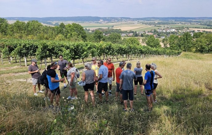 Riedenwanderung - Weingut Kugler, &copy; Walter Kugler