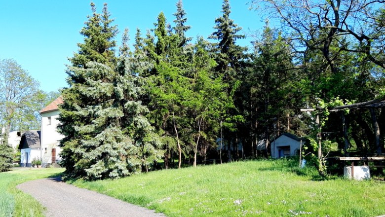 Siebenhirten in Watzelsdorf, © Cornelia Schönhofer