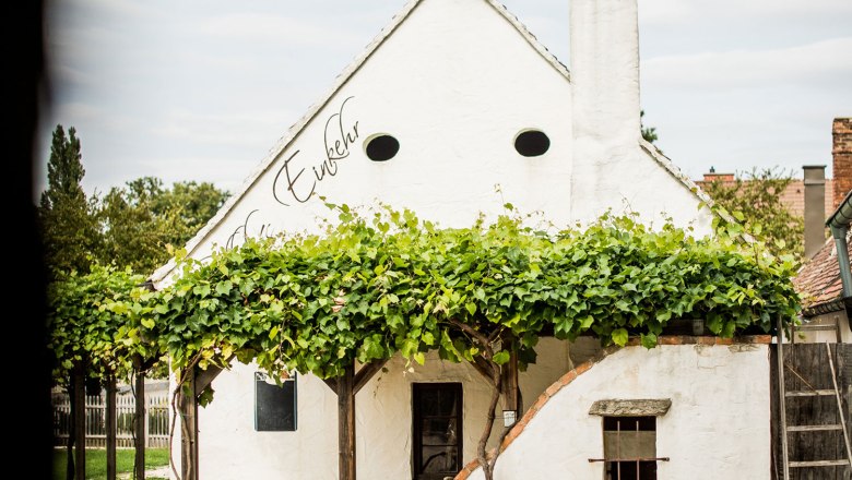 Typisch Weinviertel, © Niederösterreich Werbung/Michael Reidinger