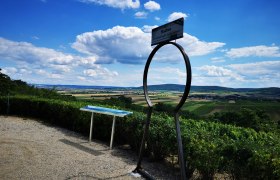 Aussichtspunkt mit Blick auf das Pulkautal und Weinberge unter blauem Himmel.